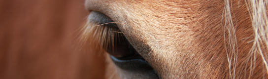 Vielen herzlichen Dank!